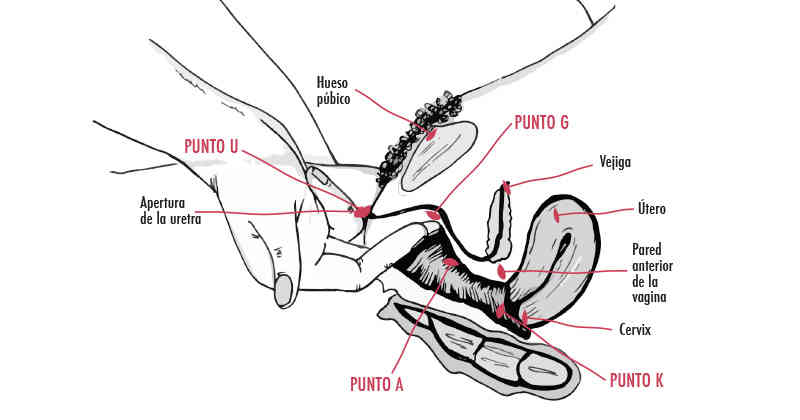 Puntos estimulacion en la mujer: U,G,A,K