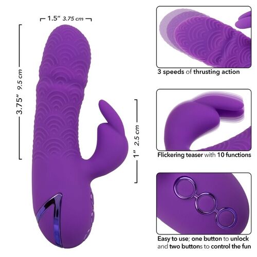 CALEXOTICS - MANHATTAN BEACH MARVEL VIBRADOR RABBIT MORADO BY CALIFORNIA DREAMING