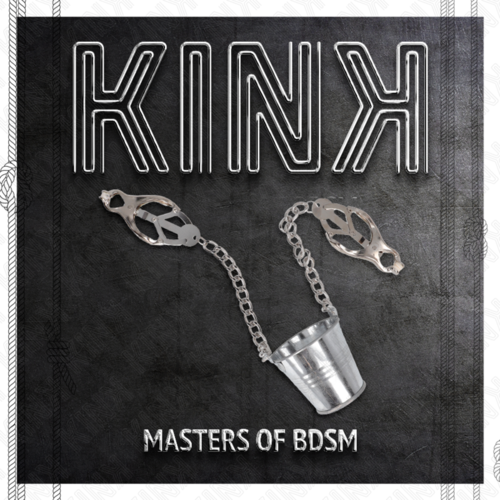 KINK - PINZAS PARA PEZONES CON CUBO PLATEADO