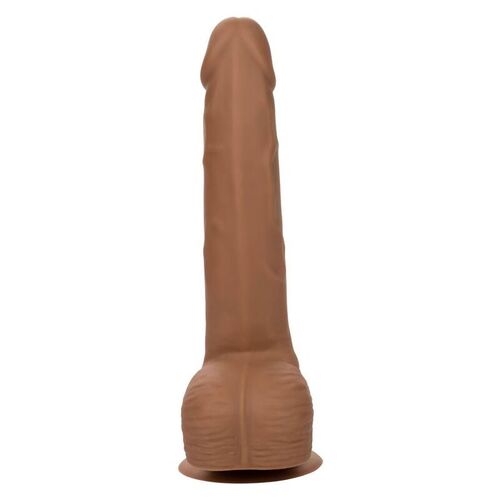 CALEXOTICS - SILICONE STUDS 20.32 CM BROWN